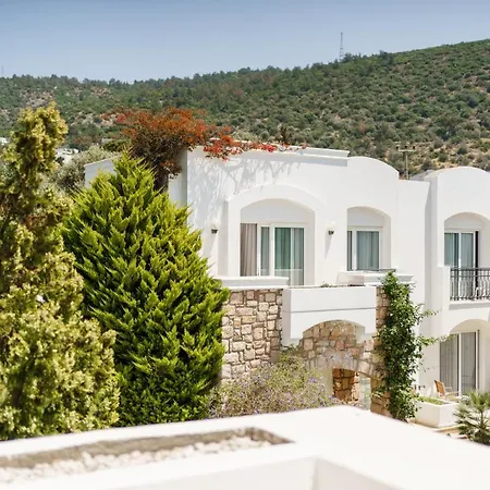 Отель Costa Sariyaz 3*