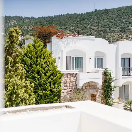 Отель Costa Sariyaz Бодрум