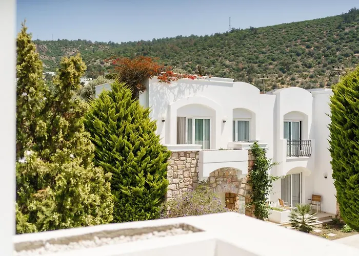 Ξενοδοχείο Costa Sariyaz 3*