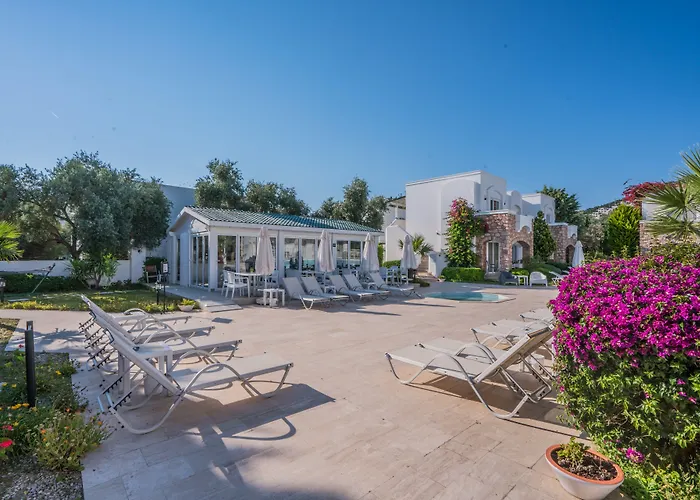 Ξενοδοχείο Costa Sariyaz