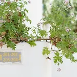 Hotell Costa Sariyaz