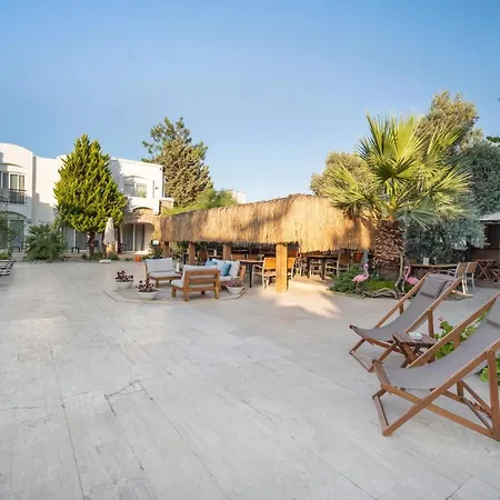 Costa Sariyaz Bodrum