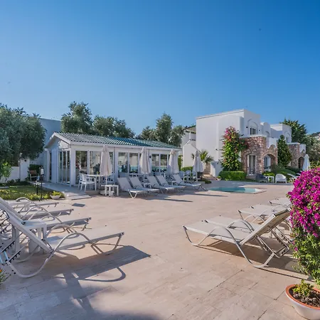 Hotell Costa Sariyaz