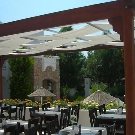 Costa Sariyaz