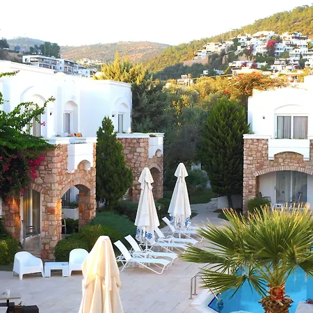 Hotel Costa Sariyaz 3*